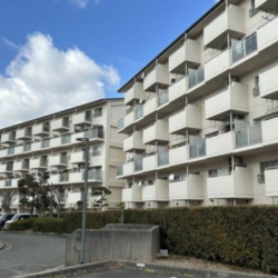 研究学園6団地・530号棟 研究学園6団地・530号棟